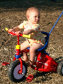 Trike0424.JPG
 (886.2k)