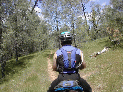 MikeTrail.JPG
 (96.9k)