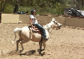 mikala_canter.JPG
 (89.6k)